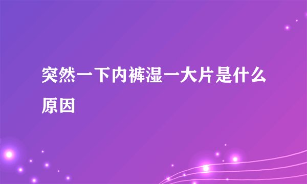 突然一下内裤湿一大片是什么原因