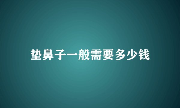 垫鼻子一般需要多少钱