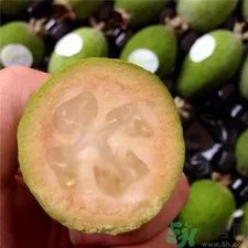 斐济果的营养价值 斐济果的功效