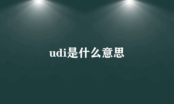 udi是什么意思