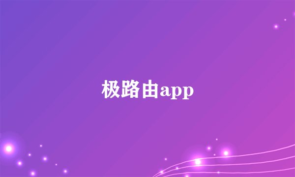极路由app
