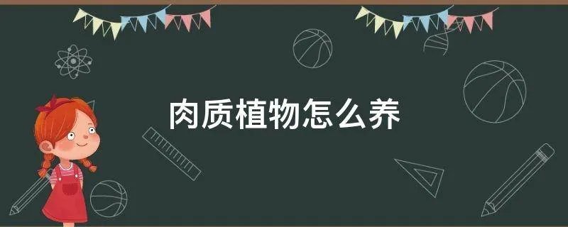 肉质植物怎么养
