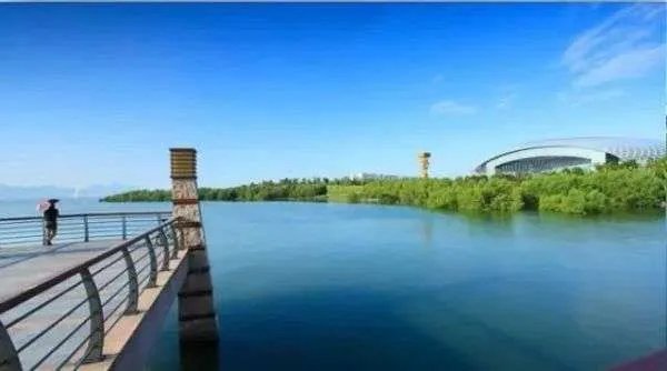 深圳市各区国土局办公地址和联系电话是多少？