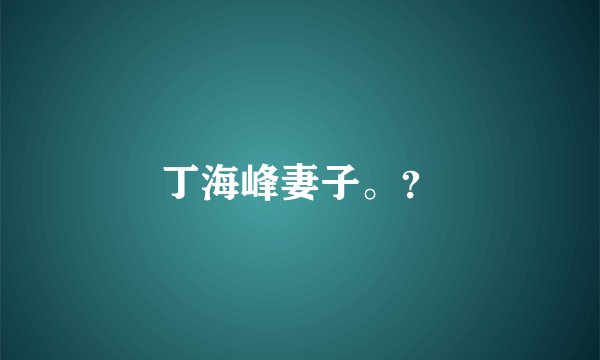 丁海峰妻子。？