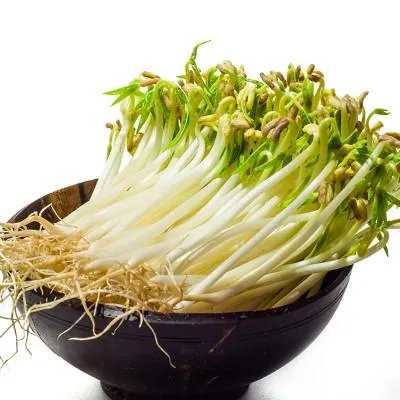 五个月宝宝能吃什么