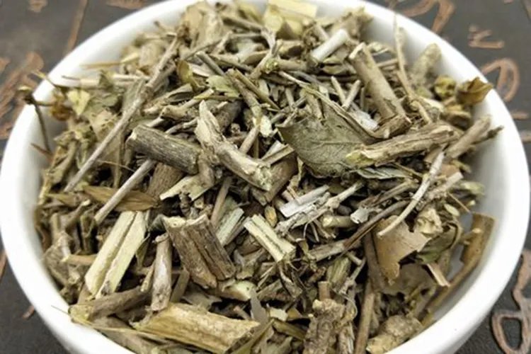 路边荆草药图片