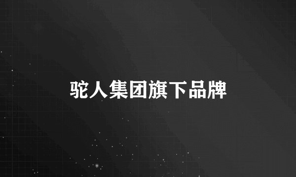 驼人集团旗下品牌