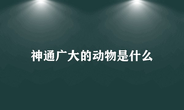 神通广大的动物是什么