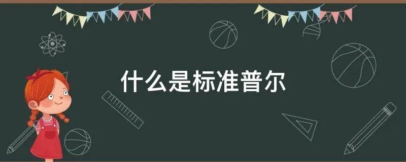什么是标准普尔