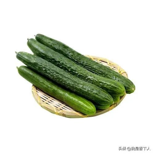 黄瓜种子哪个好?