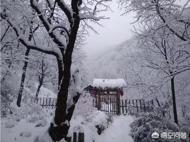 古往今来,为何隐士、修行者会首选终南山隐逸修行?