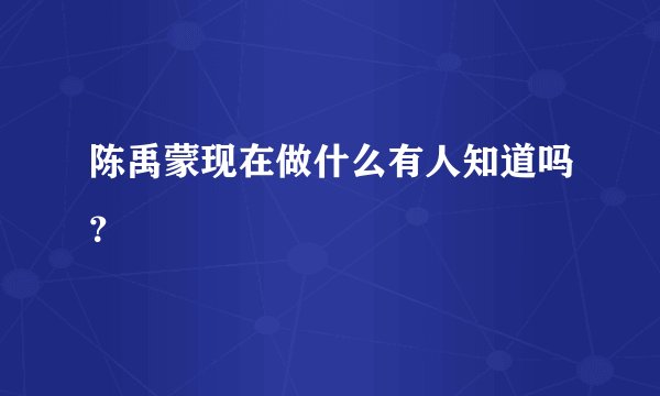 陈禹蒙现在做什么有人知道吗?