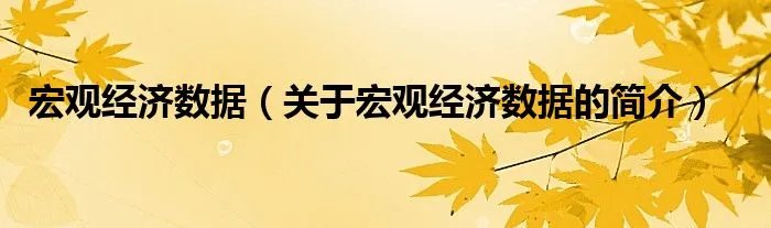 宏观经济数据（关于宏观经济数据的简介）
