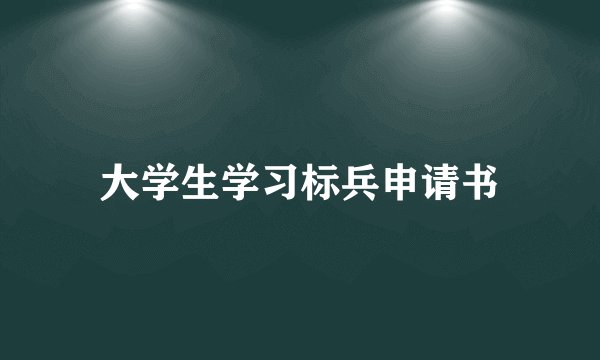 大学生学习标兵申请书