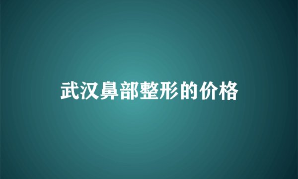 武汉鼻部整形的价格