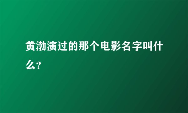 黄渤演过的那个电影名字叫什么?