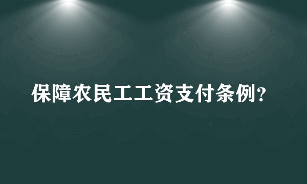 保障农民工工资支付条例?