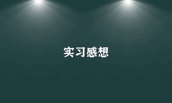 实习感想
