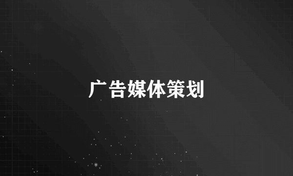 广告媒体策划
