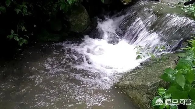 古往今来,为何隐士、修行者会首选终南山隐逸修行?