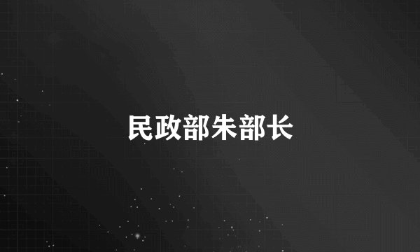 民政部朱部长