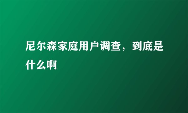 尼尔森家庭用户调查，到底是什么啊