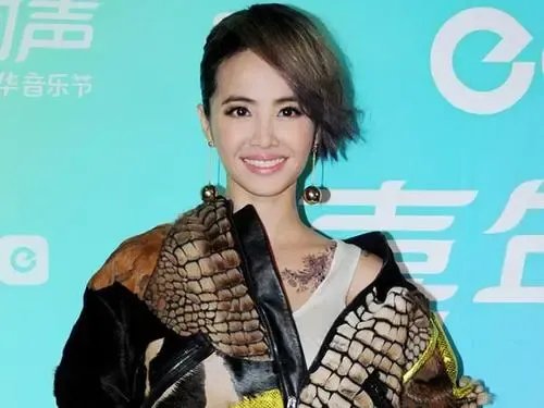 蔡依林成为拿金曲奖最多的女歌手,她的哪些作品获得了金曲奖呢?