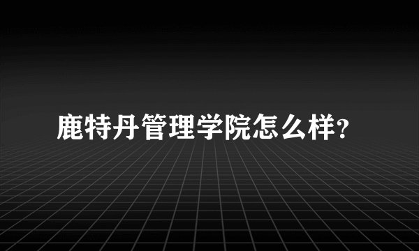 鹿特丹管理学院怎么样?