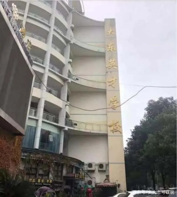 她被称为“最美通缉犯”,曾是班花,为何最后放弃上市公司工作?