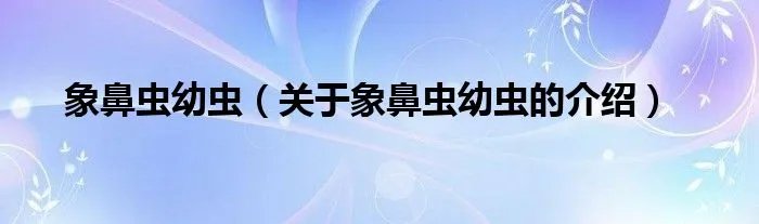 象鼻虫幼虫（关于象鼻虫幼虫的介绍）