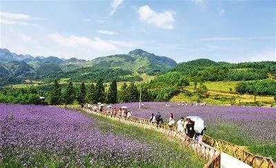 我国旅游业的发展历史是什么?