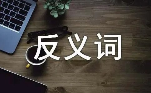 羞涩的反义词是什么
