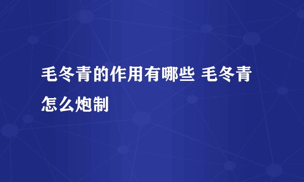 毛冬青的作用有哪些 毛冬青怎么炮制