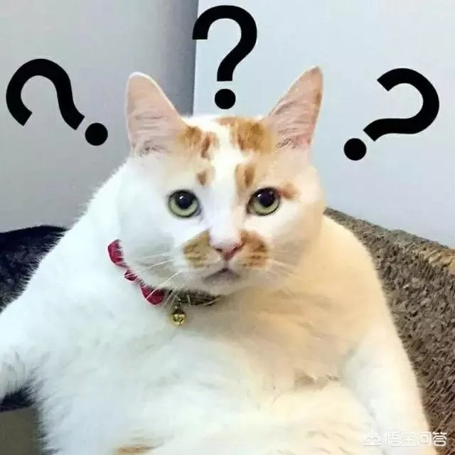 ES7是正式的称呼吗？