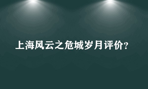 上海风云之危城岁月评价？