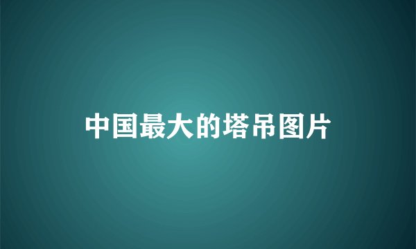 中国最大的塔吊图片
