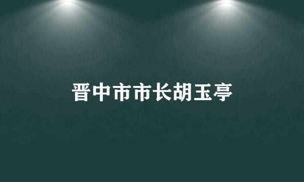 晋中市市长胡玉亭