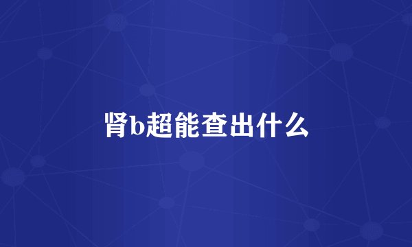 肾b超能查出什么