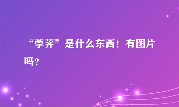 “荸荠”是什么东西！有图片吗？