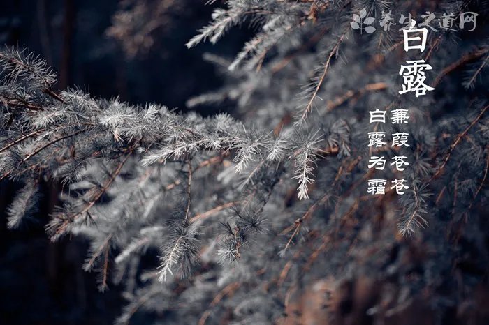 暴雨期间行人如何确保安全?