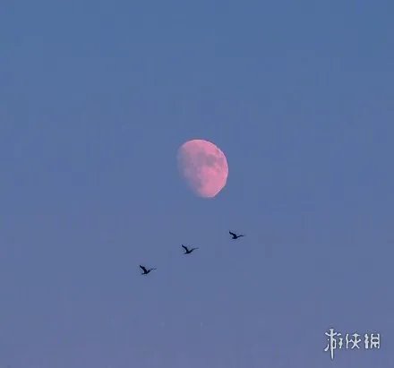 中秋月亮图片分享 中秋月亮图片唯美