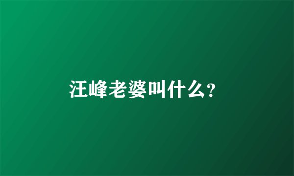 汪峰老婆叫什么？