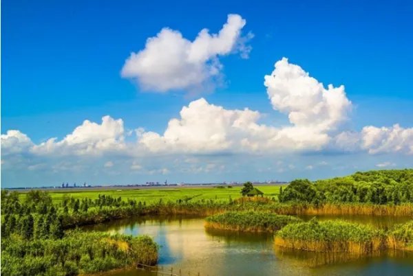 崇明西沙湿地公园