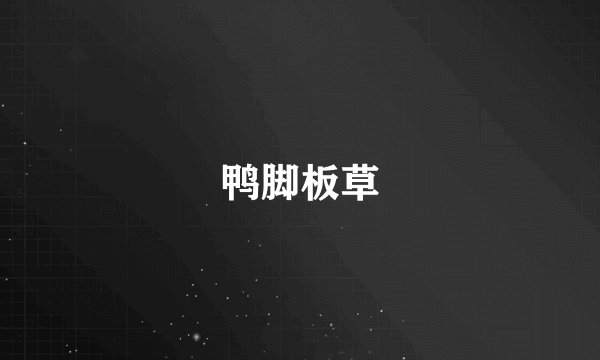 鸭脚板草