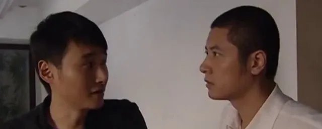 情非情电视剧剧情介绍 这部剧讲述的是什么故事