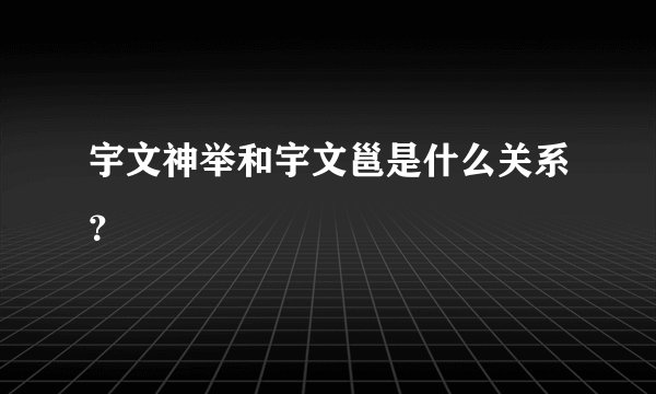 宇文神举和宇文邕是什么关系？