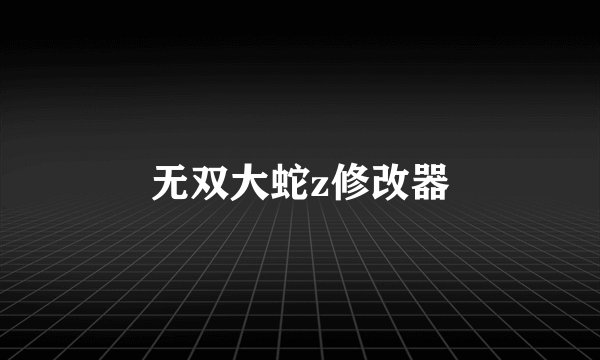 无双大蛇z修改器