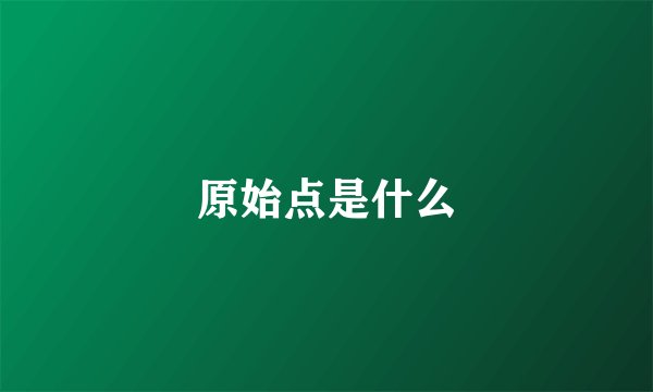 原始点是什么