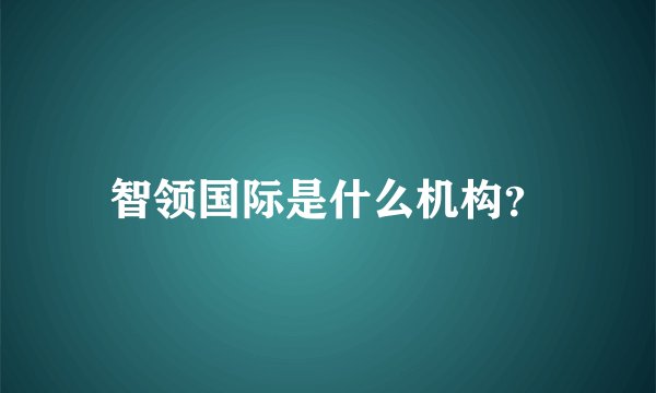 智领国际是什么机构？