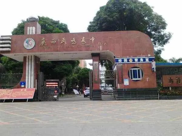 武鸣高中